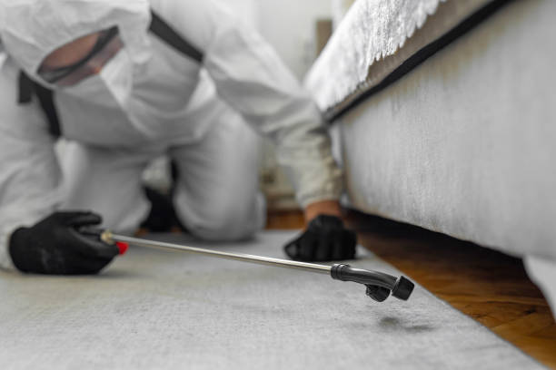 Professional Bed Bug Control technician working in St. Gabriel, LA