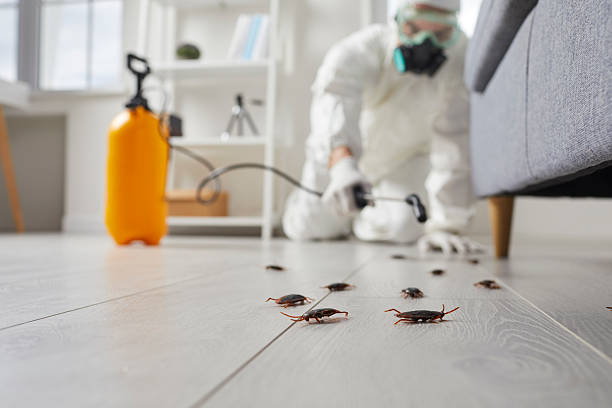 Trusted Cockroach Control service in St. Gabriel, LA - Nex Pest Control