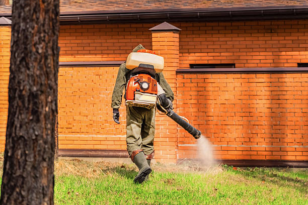 Trusted Emergency Pest Control service in St. Gabriel, LA - Nex Pest Control